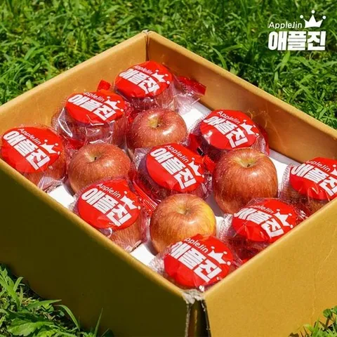 애플진 경북직송 제철 햇사과 꿀사과 껍질째먹는 세척사과 2kg 3kg, 애플진 세척사과 부사 2kg 소과 (9~13과), 1개