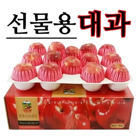 [사과선물세트] 청송사과 대과 부사 5kg 선물용 재수용, 1박스, 03.프리미엄_선물용 특대과 5kg (09~12과내외)