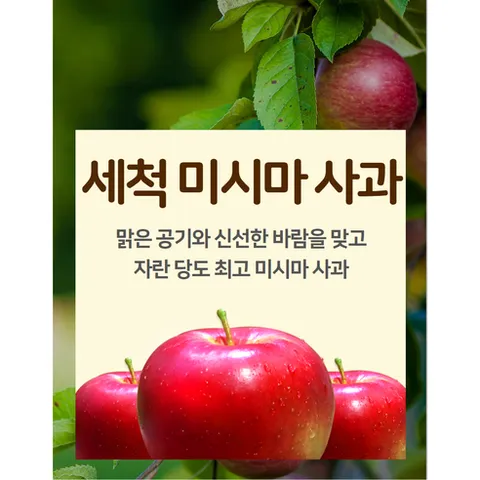 (개별포장) 지금이 가장 맛있는 세척 미시마 사과 초고당도 사과, 1개, 2.5kg