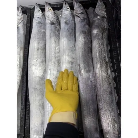 목포갈치 산지직송 손질 특대 대 중 먹갈치, 1개, 특대 800g (1마리) 비손질