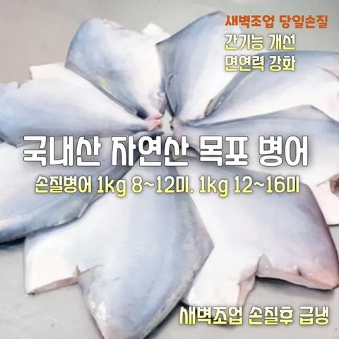 [산지직송] 국내산 자연산 전남 목포 햇 생물병어 1500g 손질후 급냉 1000g 8~12미. 햇 생물병어 1500g 손질후 급냉 1000g 12~16미 (구이. 조림등), 1세트, 생물병어 1500g 손질후 급냉 1000g 8~12미