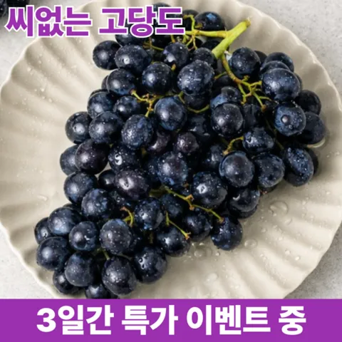 [고당도] 블랙세이블 포도 20Brix이상 씨없는 수입포도, 1박스, 1kg