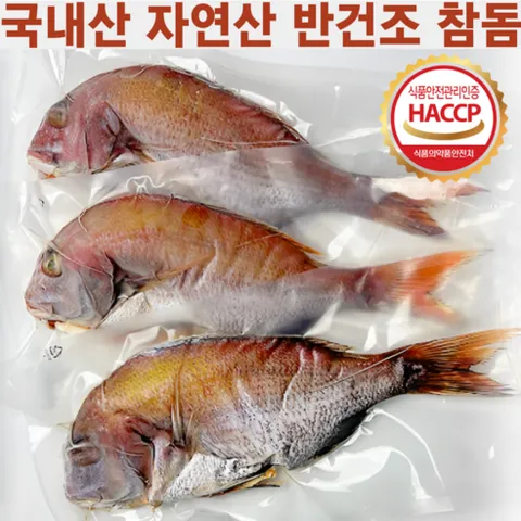 [ 자연산 참돔 ] 반건조 참돔 국내산 자연산 반건조 참돔 특대 45cm내외 제수용 생선 손질 9미 6미 3미, 1세트, 반건조 참돔(대) 3미