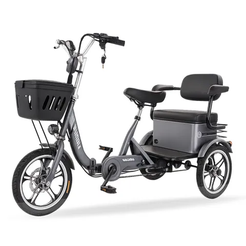 모션엑스 2인용 세발전기자전거 접이식자전거 전동자전거, 12A