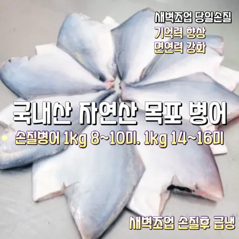 [산지직송] 국내산 자연산 전남 목포 햇 생물병어 1500g 손질후 급냉 1000g 8~10미. 햇 생물병어 1500g 손질후 급냉 1000g 14~16미 (구이. 조림등), 1세트, 생물병어 1500g 손질후 급냉 1000g 8~10미