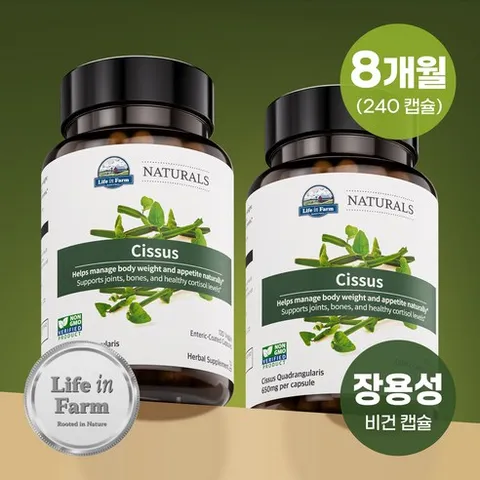 라이프인팜 시서스 100배농축 추출물 장용성 240비건캡슐 8개월분 시서스알약 가루, 2개, 120정