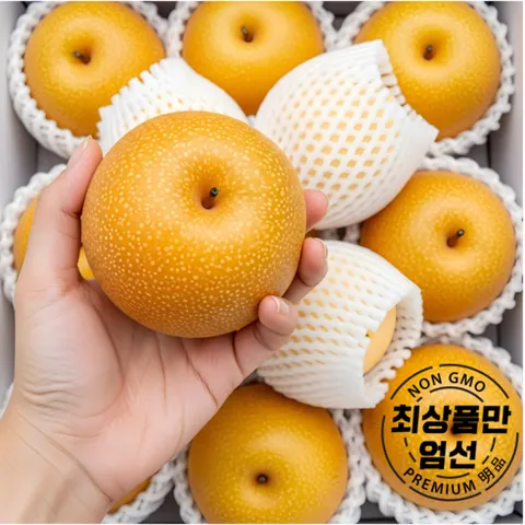 [N사 판매1위] 솔이네 명품 프리미엄 배 나주배, 1개, 정품 나주배 3kg 중과 (7과 내외)