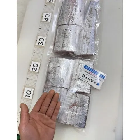 목포 먹갈치생물갈치선물용, 1개,왕특대먹갈치1.3kg (1마리) 손질 7토막