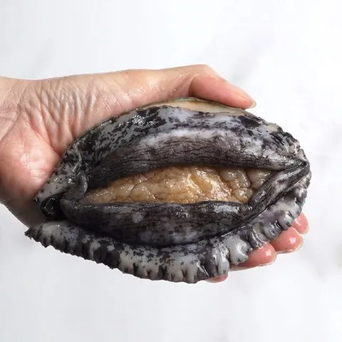 완도사랑 싱싱할 활 전복 1kg 완도산 직거래 산지직송 산소포장, 1개, (대전복) 10-12미 (산소포장), 1kg