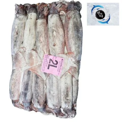 오징어2L 20kg 선상동결 선동오징어 포크오징어 채낚오징어, 1개