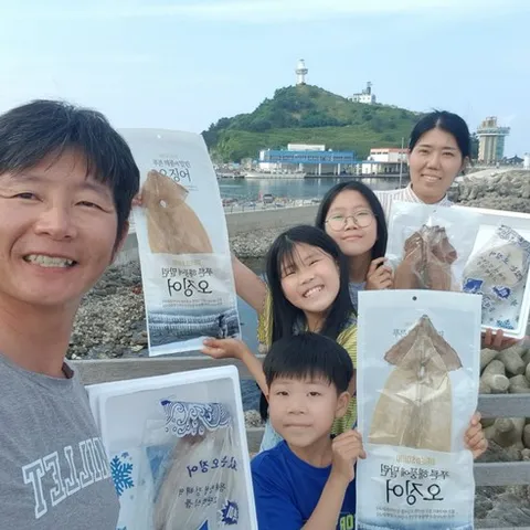 [서민갑부 오징어] 천해수산 건 마른오징어 10마리 부드러운 건조오징어 덕장 직배송, 소 10미(500g내외), 1개