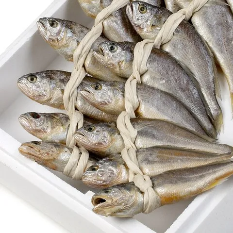 영광굴비 법성포 참조기 굴비 대용량 가정용, 1세트, 1.2kg (20마리 16~18cm)