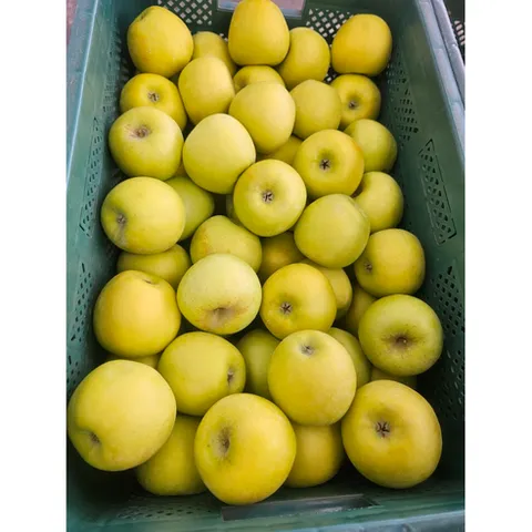 [1% 고당도] 4차선별 시나노골드 사과, 1개, 고당도) 5KG (24~28과) 인기폭발!