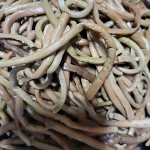 삶은고비 수입고비 중국산 데친고비 데침고비 고비 나물 식당 업소용 급식 반찬 재료, 2개, 1kg