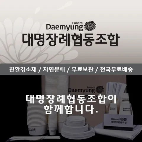 150인분/상조박스/상조용품/상조/장례식장/장례용품/체육대회/박스/일회용품/무지가능/젓가락/숟가락/접시/종이컵/경북/대명장례협동조합/구성품조정가능, 10개