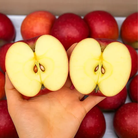 [2주한정판매] 감홍사과 아삭아삭 꿀당도 사과, 1박스, 1kg (대과-가정용A급)