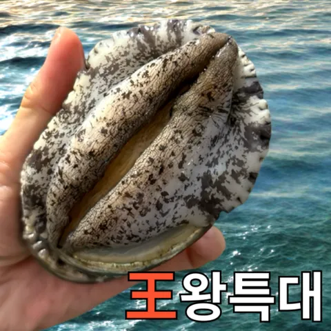 [파도스토리] 완도전복 2kg 왕특대 직거래 산지직송 산소포장 선물 세트, 1박스, 2kg(왕특대 16-18미 )