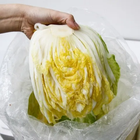 [예약 판매] 강원도 평창 고랭지 절임배추 20kg (9-13포기 내외)_당일출고10시마감 / *옵션지정된날짜에 출고됩니다*, 12월 9일(화) 출발 / 10일(수) 도착