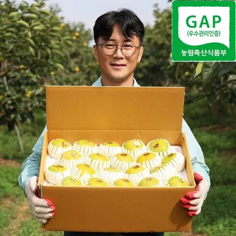 [맘카페추천] 햇 태추단감 창원 배단감 배감 산지직송 당도보장, 1박스, 2.5kg (9~11과)