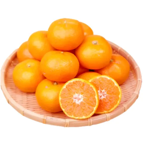 구매문의쇄도 제주산지직송 고당도 명품 레드향, 1박스, 10kg (중대과)