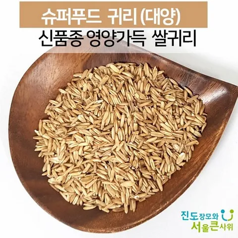 [진도장모와서울큰사위] 국산 대양귀리쌀 뉴스에 소개된 프리미엄 품종 [25년산 7월 출하], 1개, 5kg