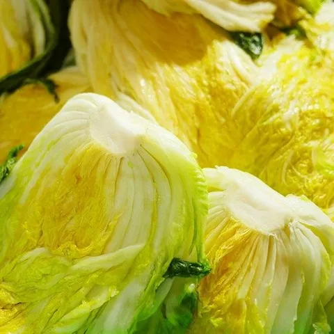 [신선도감] 땅끝 해남 절임배추 20KG 해풍맞은 90일 배추 산지직송 [예약판매], 12월 30일 화 출고(수요일도착), 1박스