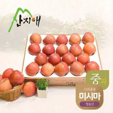 산지애 알뜰 못난이사과(중과) 4kg 1box 당도선별 청송산 미시마, 1개, 1개