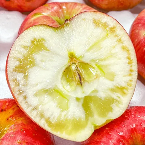 [오픈초특가] 하루 50박스한정 달콤한 꿀과즙 홍로사과 특가판매, 1박스, 10kg 특품_중과(30~40과)