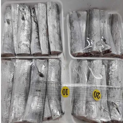 갈치 토막갈치 3마리9토막 목포먹갈치, 1개, 450