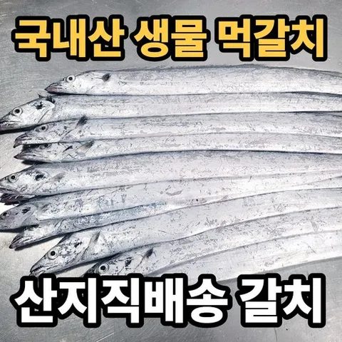 목포 생물 먹갈치 국내산 산지직송 갈치, 1박스, 3kg(14~15미)