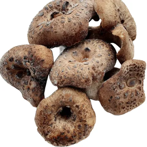 [정성식품] 자연산 특A급냉동능이버섯 /티벳 직수입 /명품 식재료 /프리미엄 보양버섯/백숙 재료, 1개, B급 1kg