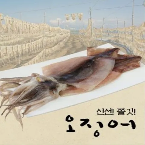 피데기오징어(수앤) 덕신 원양산 반건조 특대 피데기오징어 165g 20마리 (총 3.3kg), 1