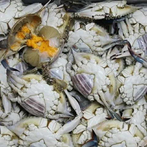 25년 국내산 발없는 몽다리 급냉 암꽃게 중 1KG, 2025년 몽다리 알배기 암꽃게 중, 1개