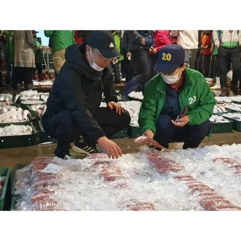 [제주도김사장] 제주 옥돔 최상품 가짜옥돔에 속지마세요 사는순간 돈버는, 1세트, 중 10마리(마리당180~220g)총중량 2kg이상