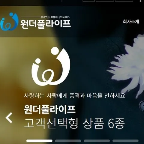 원더풀라이프 후불제 상조서비스 나눔 119만원 [가족장례 프리미엄 서비스], 1개