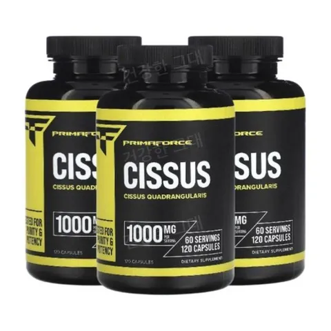 Primaforce Cissus 시서스 1000mg 120캡슐 3개 시써스