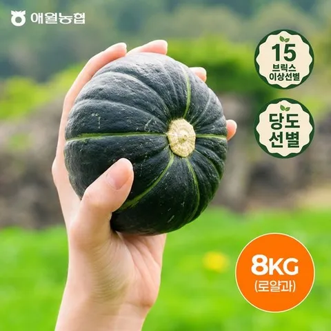 제주애월농협 보우짱햇미니단호박, 1개, 8kg