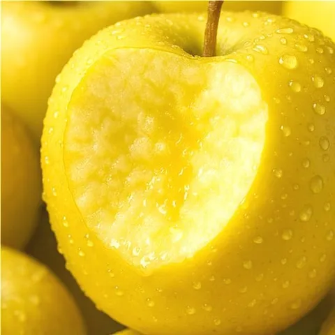 [맘카페인증] 시나노 골드 사과 황금사과 꿀과즙폭발, 1세트, 5kg(소과) 가정용 - 초특가