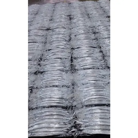 목포 산지직송 먹갈치 1KG