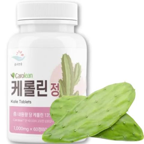 100% 유기농 노팔 선인장 블락킹 다이어트 노팔선인장 블락킹 분말 멕시코 산 노팔 선인장분말 영양제 glp-1 유산균 비만 치료제 다이어트 100 % 식약청 HACCP 인증, 3개, 60정