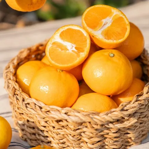 [당일수확] 제주 산지직송 고당도 효돈 감귤, 1개, 감귤 중대과(L~2L) 5kg