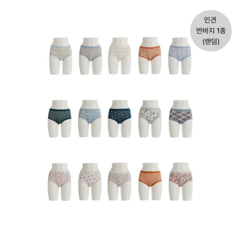 라페어 비밀의숲 인견팬티 15종 + 인견 반바지 1종