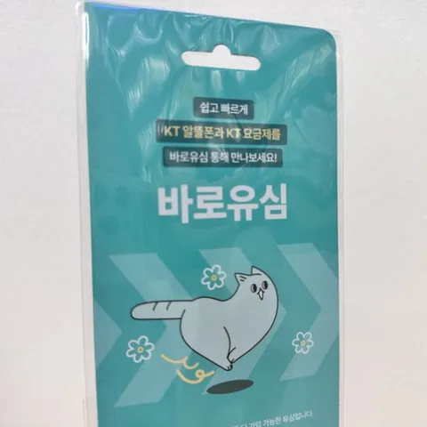 KT 바로 유심, 1개, 999999일, 가입시 확인