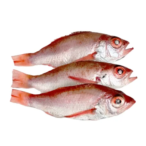 부산공동어시장 경매 후 손질 및 급냉 국내산 금태(아까무스 눈볼대 중량별 판매), 1박스, 120~150g내외 4마리