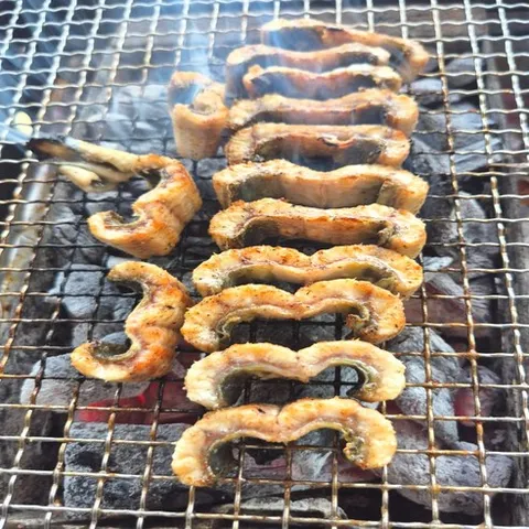 주수산 손질 민물장어 구이용 1kg, 1개, 1kg (손질후 500g내외)