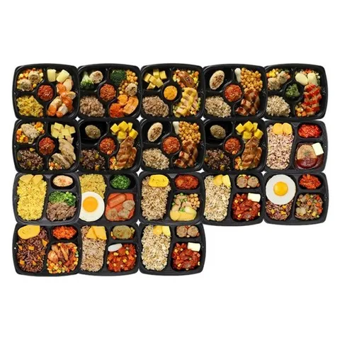 포르미 식단관리로 몸매 관리하기 인생도시락+반칙 2주식단 20팩 패키지 도시락 세트 직장인 자취생 저칼로리 간편식 닭가슴살 단백질, 250g, 20개