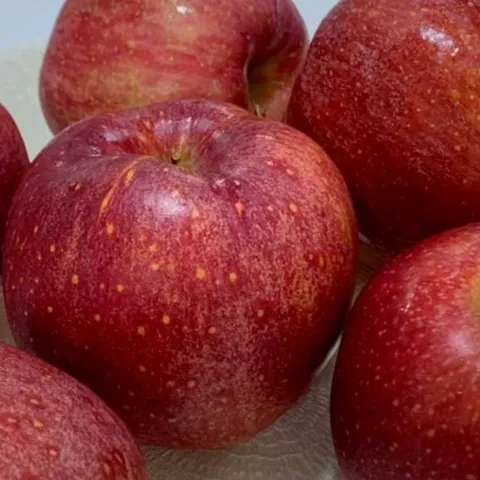 ( 한정 판매 ) 경상북도 감홍 햇사과 얼음골 고당도 감홍 사과, 1개, 5kg 특대과