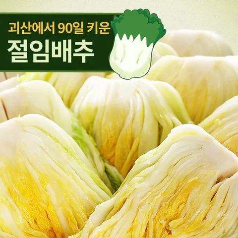 [한입에반한] 예약판매 괴산 절임배추 20kg (7-10포기), 1박스, 11월 19일 수 출고