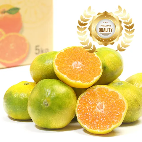 [제주1등농가]13brix 초고당도 극조생 타이벡 감귤, 1박스, 4.5kg 로얄과 (S-M)