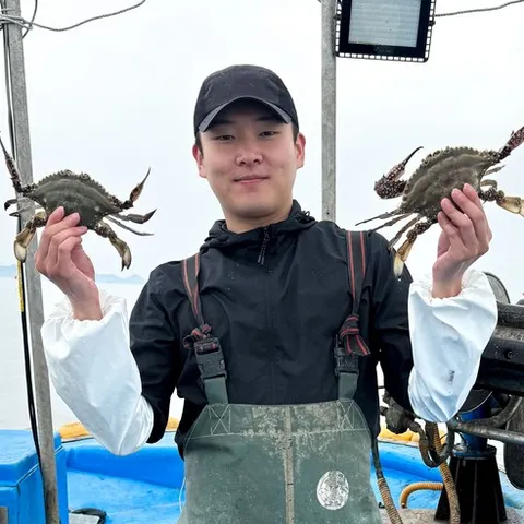 [당일조업] 꽃게킹 서해안 빙장 특A급 활꽃게 생물꽃게 가을 숫게 제철 국내산 산지직송 추석선물, 1개, 2kg특대(6미내외)